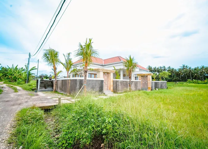 Elden View Private By Eps *