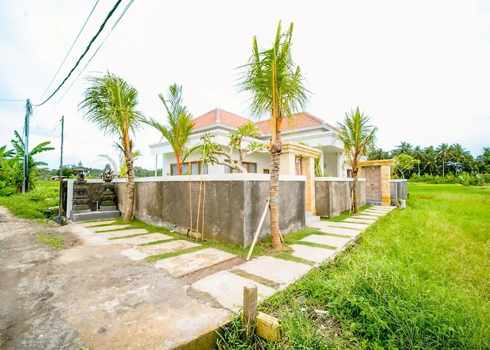 Elden View Private By Eps *