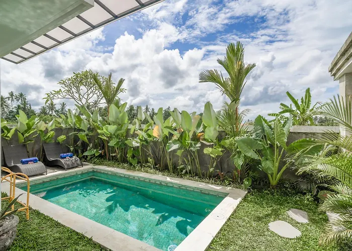 Elden View Private By Eps